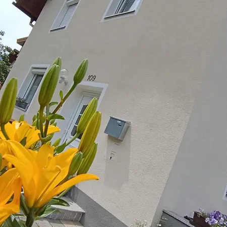 Bergtraum Ried - Typ 1 Апартаменты *